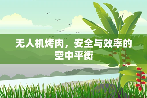 无人机烤肉，安全与效率的空中平衡