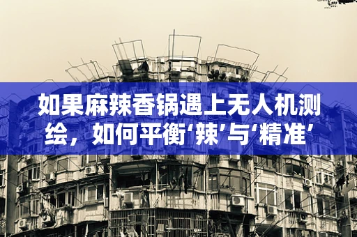 如果麻辣香锅遇上无人机测绘，如何平衡‘辣’与‘精准’的挑战？