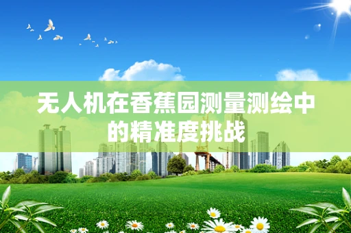 无人机在香蕉园测量测绘中的精准度挑战