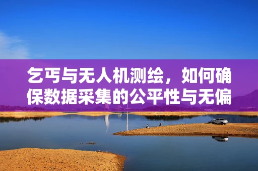 乞丐与无人机测绘，如何确保数据采集的公平性与无偏性？