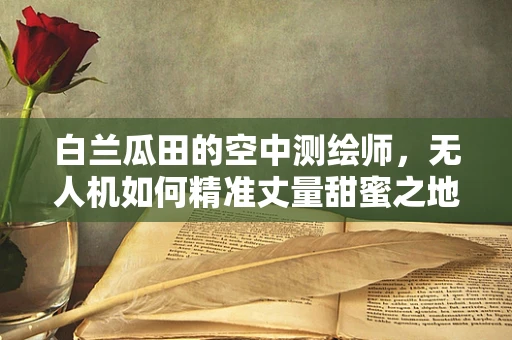 白兰瓜田的空中测绘师，无人机如何精准丈量甜蜜之地？