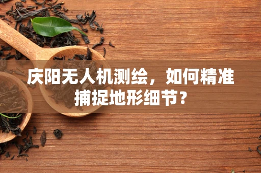 庆阳无人机测绘，如何精准捕捉地形细节？