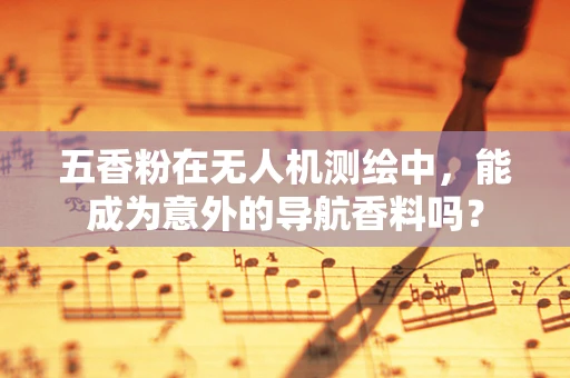 五香粉在无人机测绘中，能成为意外的导航香料吗？