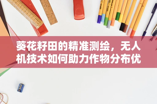 葵花籽田的精准测绘，无人机技术如何助力作物分布优化？