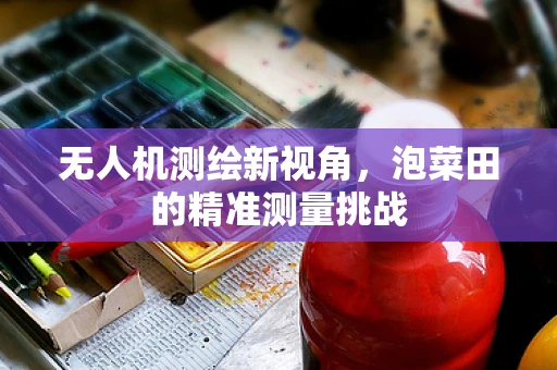 无人机测绘新视角，泡菜田的精准测量挑战