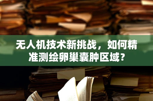 无人机技术新挑战，如何精准测绘卵巢囊肿区域？