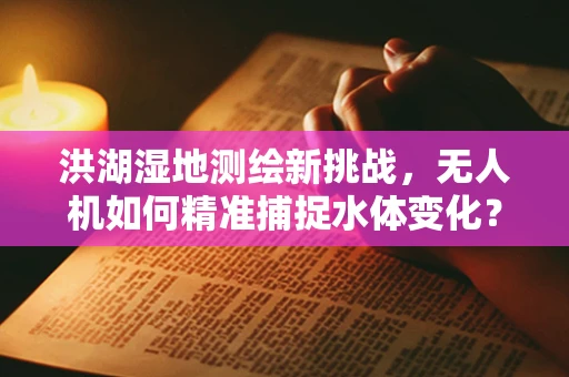 洪湖湿地测绘新挑战，无人机如何精准捕捉水体变化？