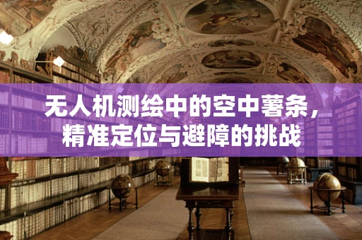 无人机测绘中的空中薯条，精准定位与避障的挑战