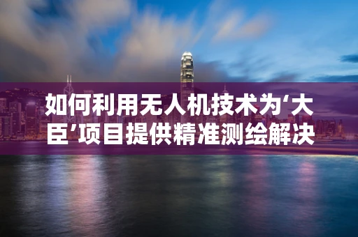如何利用无人机技术为‘大臣’项目提供精准测绘解决方案？