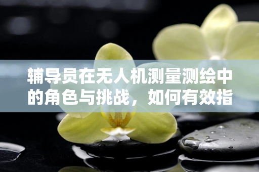 辅导员在无人机测量测绘中的角色与挑战，如何有效指导与安全监督？