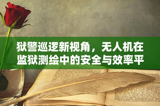 狱警巡逻新视角，无人机在监狱测绘中的安全与效率平衡