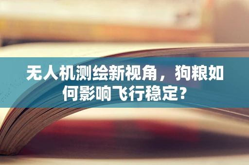 无人机测绘新视角，狗粮如何影响飞行稳定？