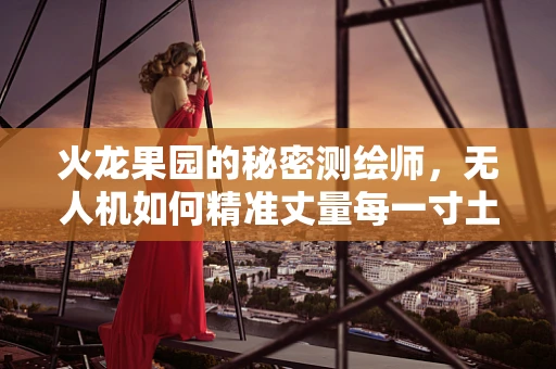 火龙果园的秘密测绘师，无人机如何精准丈量每一寸土地？
