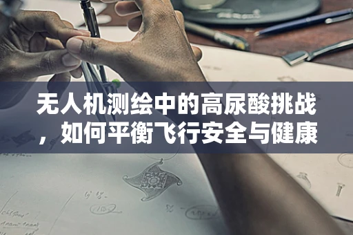 无人机测绘中的高尿酸挑战，如何平衡飞行安全与健康风险？