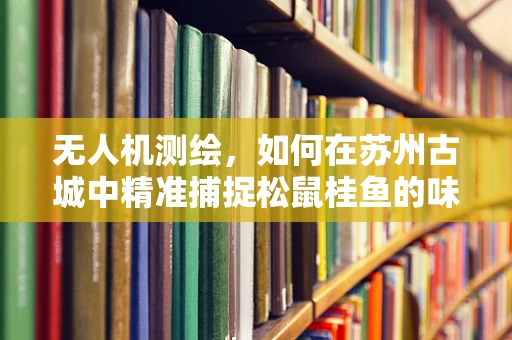 无人机测绘，如何在苏州古城中精准捕捉松鼠桂鱼的味觉地图？