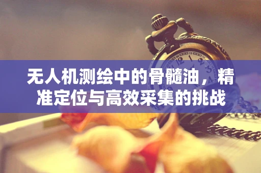 无人机测绘中的骨髓油，精准定位与高效采集的挑战