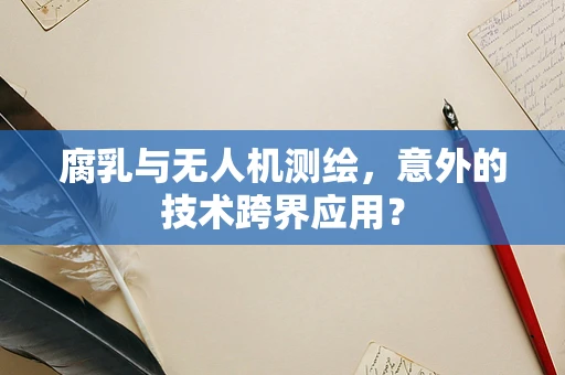 腐乳与无人机测绘，意外的技术跨界应用？
