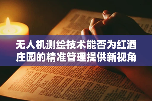 无人机测绘技术能否为红酒庄园的精准管理提供新视角？