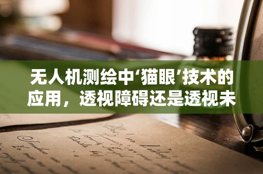 无人机测绘中‘猫眼’技术的应用，透视障碍还是透视未来？