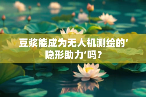 豆浆能成为无人机测绘的‘隐形助力’吗？
