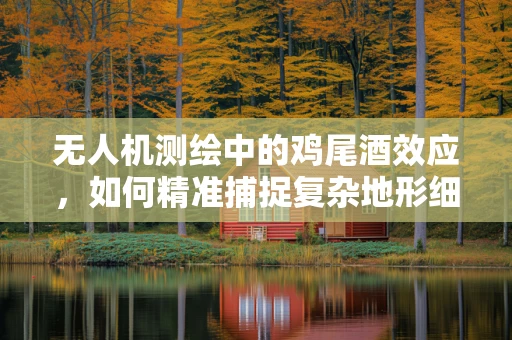无人机测绘中的鸡尾酒效应，如何精准捕捉复杂地形细节？