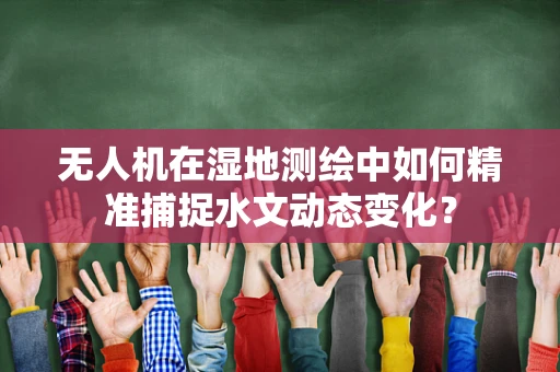 无人机在湿地测绘中如何精准捕捉水文动态变化？