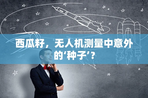 西瓜籽，无人机测量中意外的‘种子’？