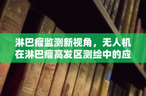 淋巴瘤监测新视角，无人机在淋巴瘤高发区测绘中的应用潜力