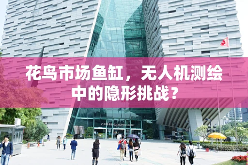 花鸟市场鱼缸，无人机测绘中的隐形挑战？