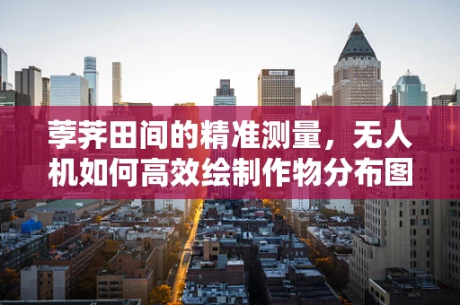 荸荠田间的精准测量，无人机如何高效绘制作物分布图？