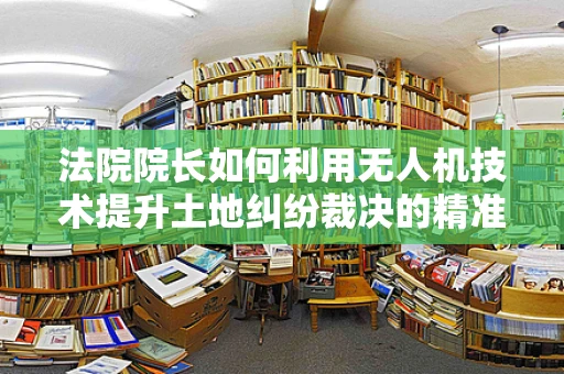 法院院长如何利用无人机技术提升土地纠纷裁决的精准度？