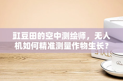 豇豆田的空中测绘师，无人机如何精准测量作物生长？