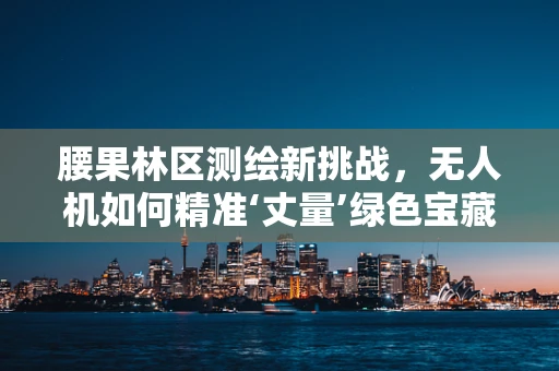 腰果林区测绘新挑战，无人机如何精准‘丈量’绿色宝藏？