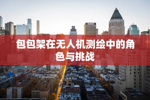 包包架在无人机测绘中的角色与挑战