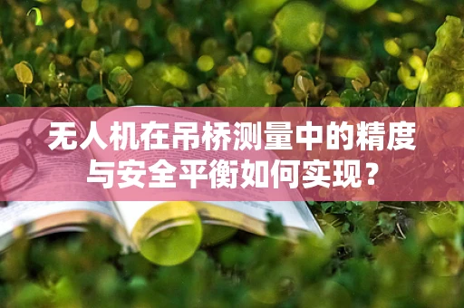无人机在吊桥测量中的精度与安全平衡如何实现？