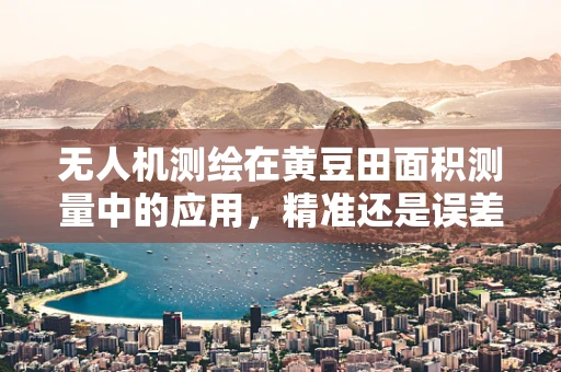无人机测绘在黄豆田面积测量中的应用，精准还是误差？