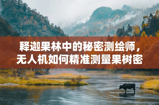 释迦果林中的秘密测绘师，无人机如何精准测量果树密度？