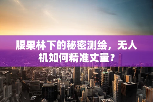 腰果林下的秘密测绘，无人机如何精准丈量？