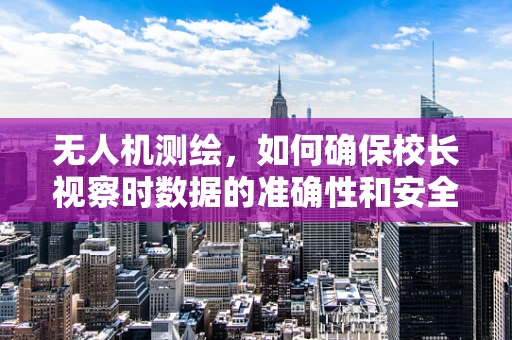 无人机测绘，如何确保校长视察时数据的准确性和安全性？