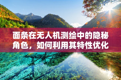 面条在无人机测绘中的隐秘角色，如何利用其特性优化飞行路径？