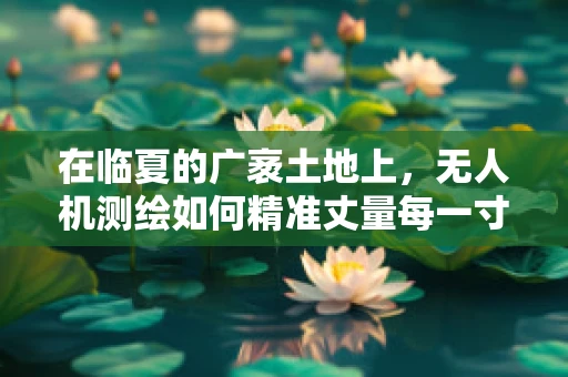 在临夏的广袤土地上，无人机测绘如何精准丈量每一寸？