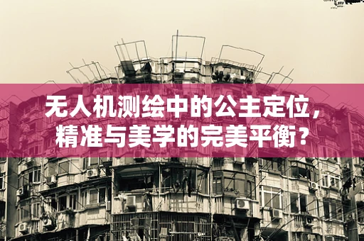 无人机测绘中的公主定位，精准与美学的完美平衡？