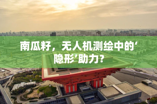 南瓜籽，无人机测绘中的‘隐形’助力？