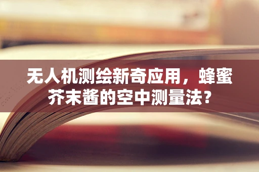 无人机测绘新奇应用，蜂蜜芥末酱的空中测量法？