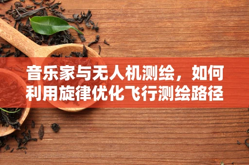 音乐家与无人机测绘，如何利用旋律优化飞行测绘路径？