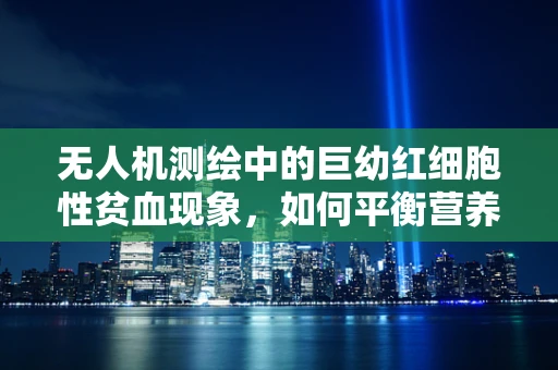 无人机测绘中的巨幼红细胞性贫血现象，如何平衡营养与飞行性能？