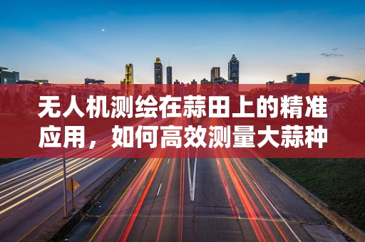 无人机测绘在蒜田上的精准应用，如何高效测量大蒜种植面积？