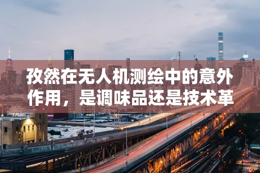 孜然在无人机测绘中的意外作用，是调味品还是技术革新？
