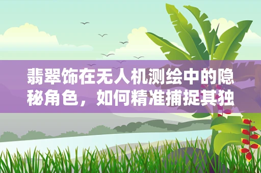 翡翠饰在无人机测绘中的隐秘角色，如何精准捕捉其独特光泽？