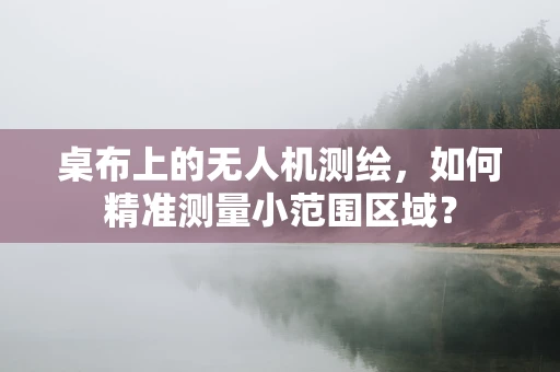 桌布上的无人机测绘，如何精准测量小范围区域？